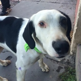 D 9943ab03 76a2 4713 a4f3 509cb92a12bd