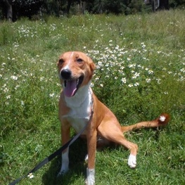 D 090248cf 0b41 4168 aab1 4bc7ce3ffbc6