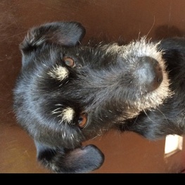 D 86d9a17a 3f25 4e15 be95 ccae45b8617b