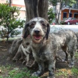 D 591973b4 1b4a 4204 be0a 8e77fd888733