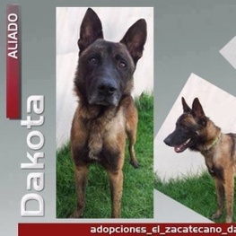 D 7ddb7937 8821 4042 84e5 f90ada3d1d90