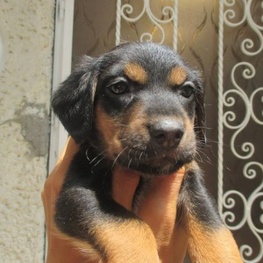 D 5137c8bd 51cf 46da 884a e7205566430c