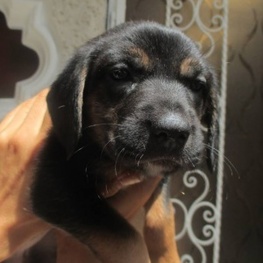 D 03f34a22 495d 4b36 854a a2ca95fb5c64