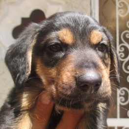 D 16975b36 cf0f 4d45 a9f3 eb7540760ac2