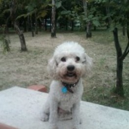 D 343c3194 3766 4ccd 93e9 4bf54b07190d