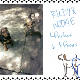 D d76507d0 dd52 49ec 921e 1d962f9d3179