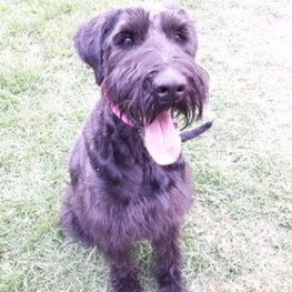 D dab6277f c0c5 4d20 8f41 0c65333d1e5a