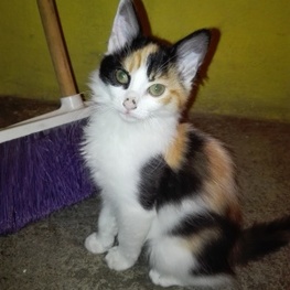 D 1a906724 1c7f 4bb0 9608 eb6802d7c8f8