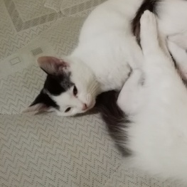 D cb404bb3 d3f4 431e 963f cb8e1981e1f0