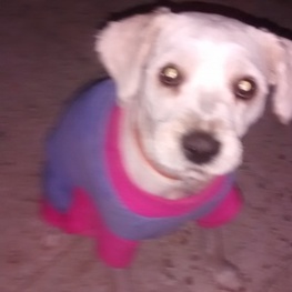 D a48920fe 4c6a 4c7b a309 a0e40eab0841