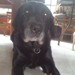 D 2ed36f9e 3fd5 44bb a841 56ef14f65fe2