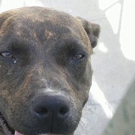 D c96ee044 a911 404b 81e9 33bc01f76225