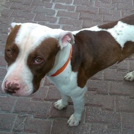 D c549852a 80db 4180 9d99 70e3cf3f0940