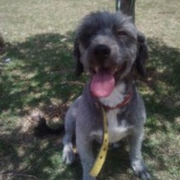 D ee289dff b40c 4e04 b891 13c5b1ef52f4