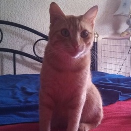 D d3fa2300 1ba9 4af6 90f5 6b7c9ec4e5a3