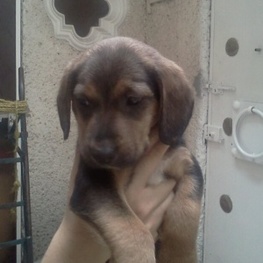 D c90eeca2 be1b 4c40 b292 68420f77f41c