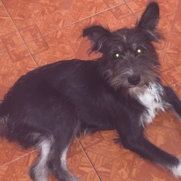 D f9a51846 1451 498a b3df 3be5ea88a88a