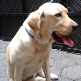 D 6ace3dd1 689a 4212 9708 e3377218e2ef