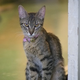 D 770c8b21 8d1a 4b42 9de0 5a8c0ae64f34