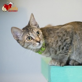 D 9f2e834e eb29 4fa2 83ec 65592ac4e8d2