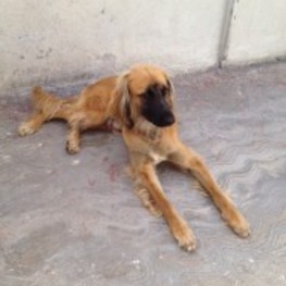 D c41e94e2 3b38 481f 8bdd cf750bca8b24