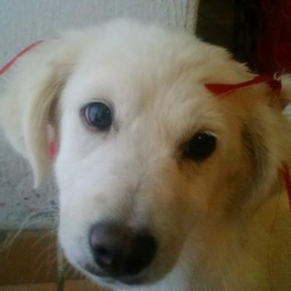 D 7da8ac92 b5e8 4733 8c37 a833ca43a083