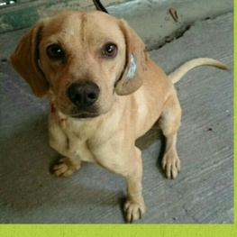 D b5581f59 2f28 4530 b965 f2b059e4968a