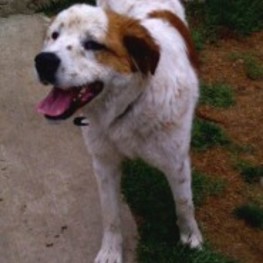 D d6fa702e 5fd2 4c68 b742 db049d96ceef