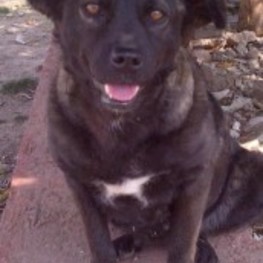 D 5c7dabd1 810c 4087 aba6 b70a3d889d1f