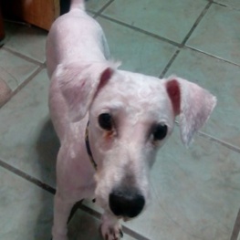 D 4f99970f ca95 4c1d 9ba3 51d2dd674e9c