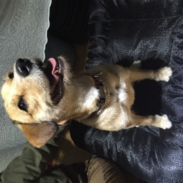 D 23d8a3bb 08b8 4446 9d34 b81bf9235b3c