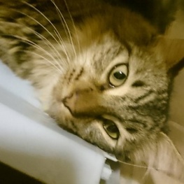 D 1696881e ac9d 49a7 8ee1 b7d5e2b50cef