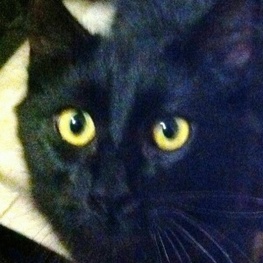 D 2aa1229e 33b9 401e 9162 261732b9d8bc