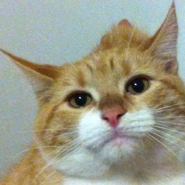 D 605fcdc3 3bf9 4211 aab1 b688857da67f