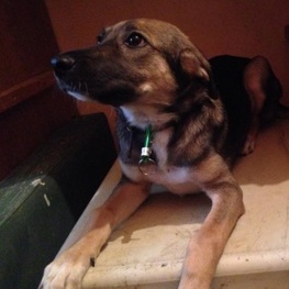 D 5fce5bd2 813f 4537 a438 d3bfdb475e10