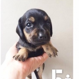 D c36b79c1 8a3a 4699 89b0 c25ecc15f213