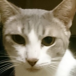 D b6ada527 5171 4503 a07b b437ad93e4f6