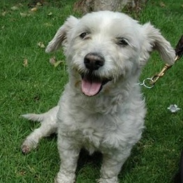 D 9071b5ae 8681 4253 9fa8 88604f2b31f3