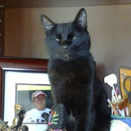 D 304ff1da 9ac2 484f a4bb b629552ed5ea