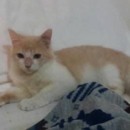 D b9a2c4db bf93 4cb6 8754 6596c870899a