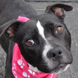 D d6d6855e 7a11 4088 8dc0 7d25f877b386