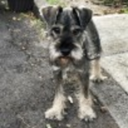 D 08f63ae6 7699 48b7 a99c 5c4c555c4c25