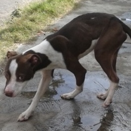 D f07b5d0e cbe7 421b 95bb 3f8ec20b1df1