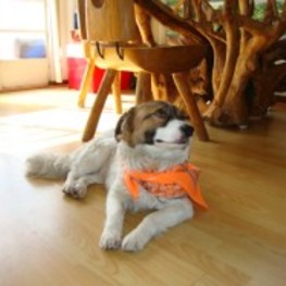 D 1da9a6df 237a 44be a96a 7808a1a3ba8b