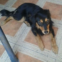 D c145ad0c 7faa 4a82 86c8 594c116e0fea