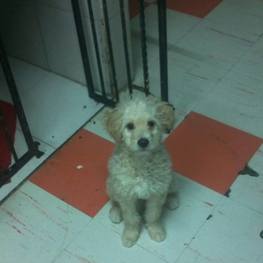 D 12e36834 8583 411f b0d6 e1f75cf7a76a