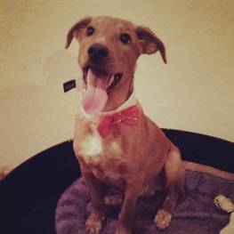 D 500410be 02fd 4a3f b237 6ddcaddf224b