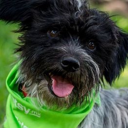 D 5f8f9867 13ea 48fd 9541 7d22fa90df43