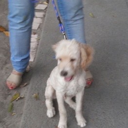 D 36645a8b e9e4 41d7 8698 970a3ad3b05c