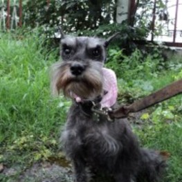 D 14ebe7c4 18d4 4423 8432 5b4cdb1eabba